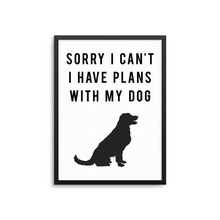 Sorry I Can'T I Have Plans With My Dog - Funny Golden Retriever