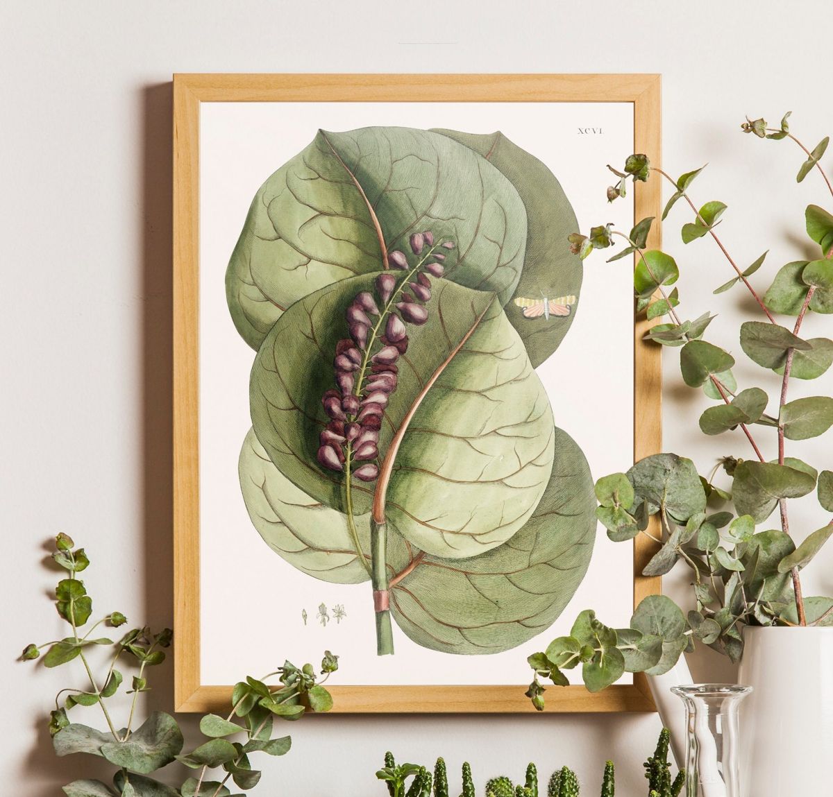 Vintage Botanical Wall Art, Botanical Print, Plant Decor, Butterfly ...