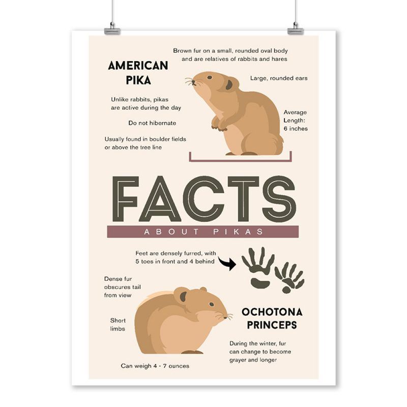 Facts About Pikas – Poster | Canvas Wall Art Print - John Sneaker